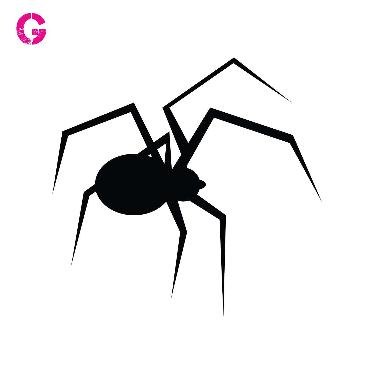 Spider G