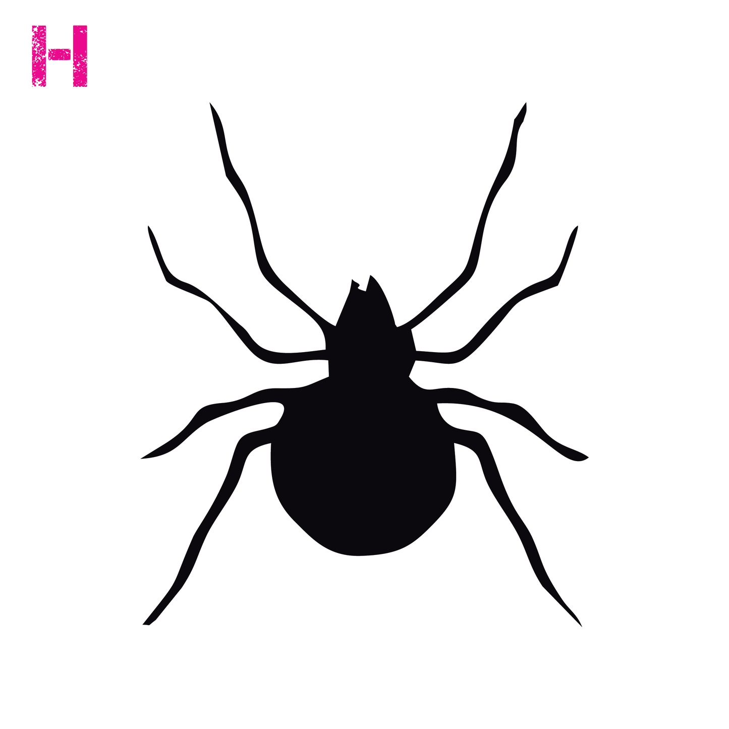 Spider H